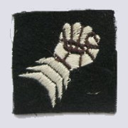 1st and 6th Armoured Division patch badge
