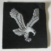 Army Air Corps patch badge